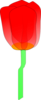 Red Cartoon Tulip Clip Art